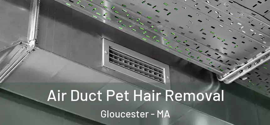 Air Duct Pet Hair Removal Gloucester - MA