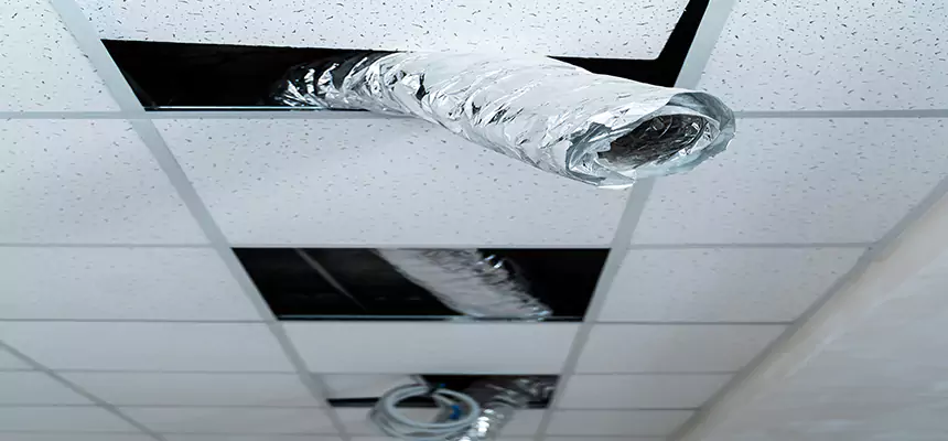 Affordable HVAC Sanitizing After Pest Removal in Gloucester