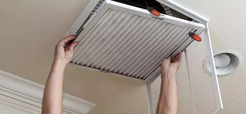 Our Insect Removal from Air Ducts Services in Gloucester, MA