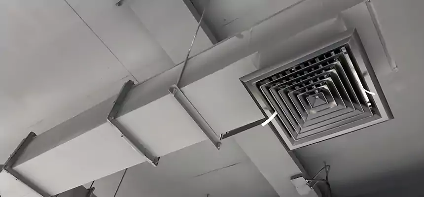 Our Rodent Droppings In Vents Services in Gloucester, MA