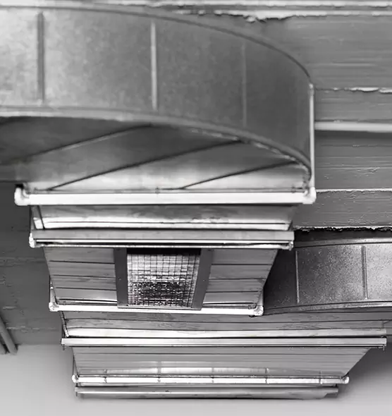 Professional Air Duct Pest Removal in Gloucester, MA