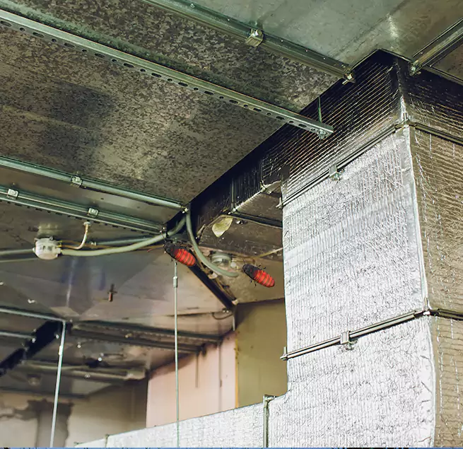 Why Homeowners & Businesses Trust Us in Gloucester, MA?