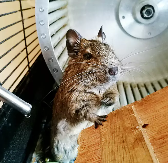 Why Homeowners & Businesses Trust Us Gloucester, MA